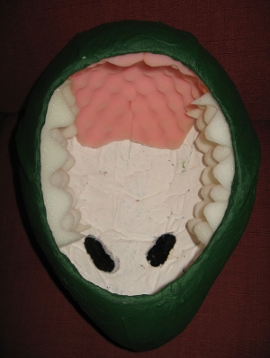 Interior Foam